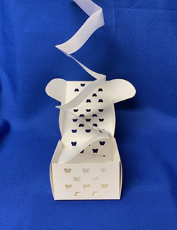 Accordion Butterfly Release box