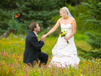 butterfly wedding photo shoot iowa
