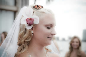 Miami Beach Butterfly Release